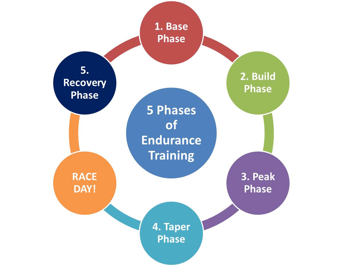 5 Phases Of Endurance Training RUnladylike